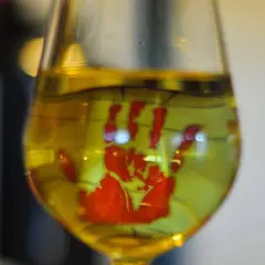 Calice con l’impronta rossa di Wilson 9.5