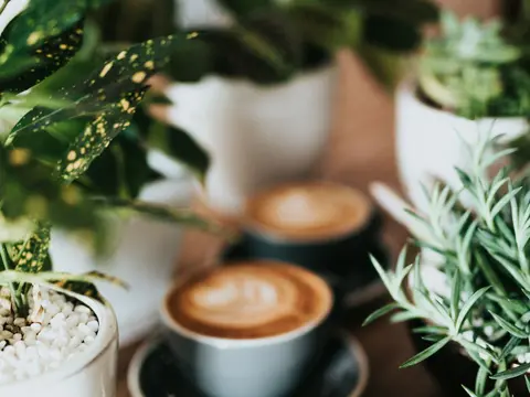 Cappuccini